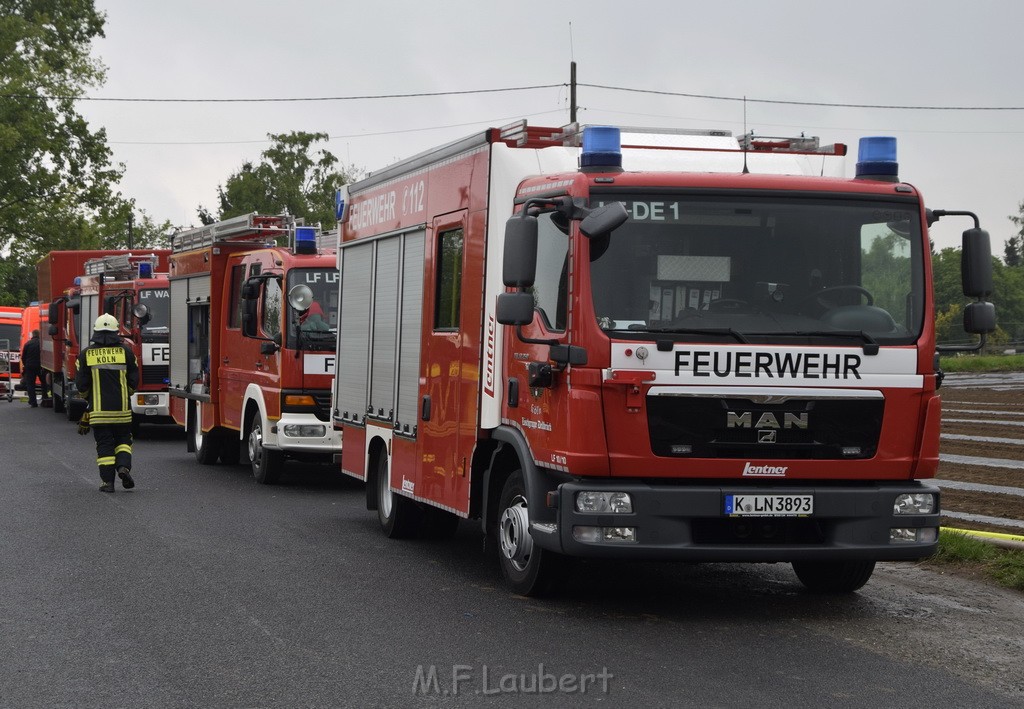 Feuer 3 Rheinkassel Feldkasseler Weg P2477.JPG - Miklos Laubert